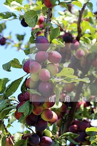 信用卡逾期未出账单算利息 信用卡逾期未出账单算利息