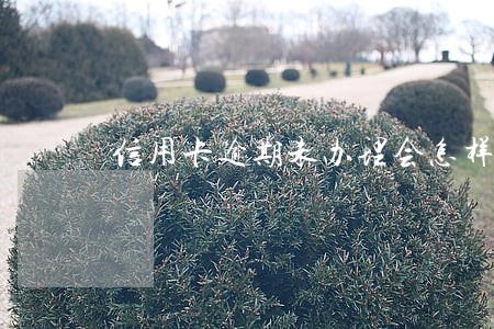信用卡逾期未办理会怎样