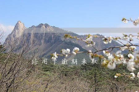 信用卡逾期未取保候审 信用卡逾期未取保候审