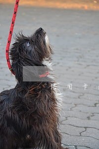 信用卡逾期未可以贷款的软件 信用卡逾期未可以贷款的软件
