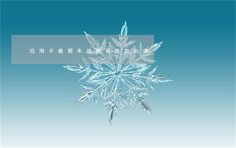 信用卡逾期未处理英语怎么说