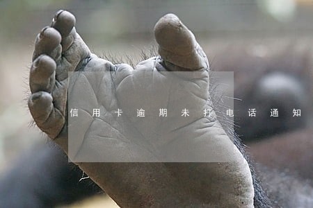 信用卡逾期未打电话通知 信用卡逾期未打电话通知