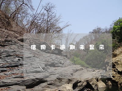 信用卡逾期未显示 信用卡逾期未显示