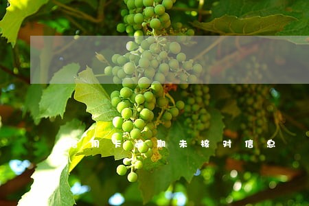 信用卡逾期未核对信息 信用卡逾期未核对信息