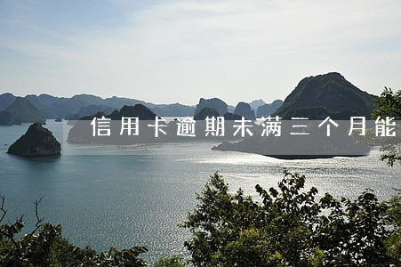 信用卡逾期未满三个月能立案么