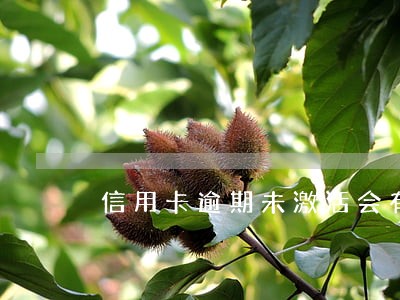 信用卡逾期未激活会有什么后果 信用卡逾期未激活会有什么后果