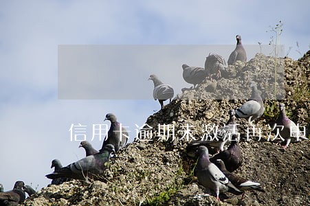 信用卡逾期未激活再次申请 信用卡逾期未激活再次申请