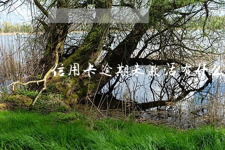 信用卡逾期未激活有什么后果 信用卡逾期未激活有什么后果