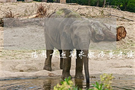 信用卡逾期未激活要手续费吗 信用卡逾期未激活要手续费吗