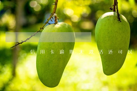 信用卡逾期未激活还可以激活 信用卡逾期未激活还可以激活