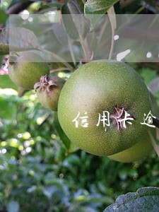 信用卡逾期未经允许直接上门