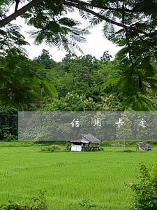信用卡逾期未经同意自动扣款 信用卡逾期未经同意自动扣款