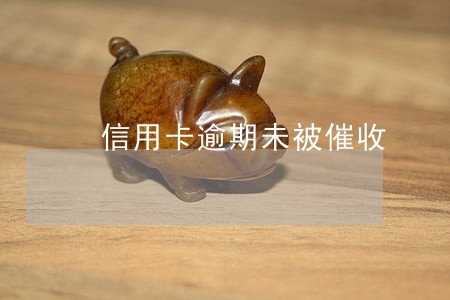 信用卡逾期未被催收 信用卡逾期未被催收