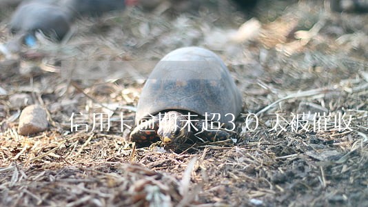 信用卡逾期未超30天被催收 信用卡逾期未超30天被催收