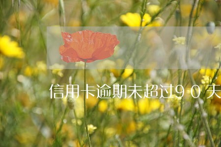 信用卡逾期未超过90天6