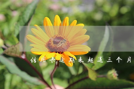 信用卡逾期未超过三个月还款 信用卡逾期未超过三个月还款