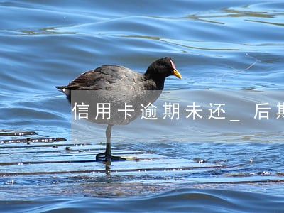 信用卡逾期未还_后期不能分期 信用卡逾期未还_后期不能分期