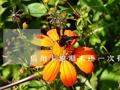 信用卡逾期未还一次有什么后果 信用卡逾期未还一次有什么后果