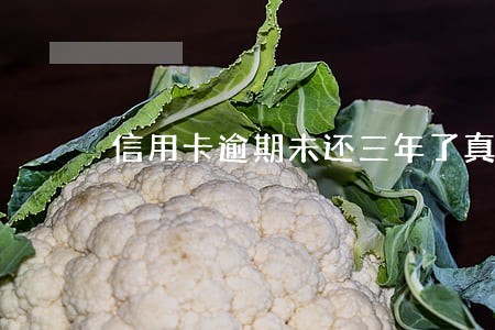 信用卡逾期未还三年了真坐牢吗 信用卡逾期未还三年了真坐牢吗