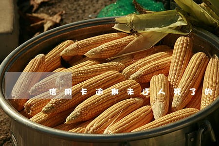 信用卡逾期未还人死了的后果 信用卡逾期未还人死了的后果