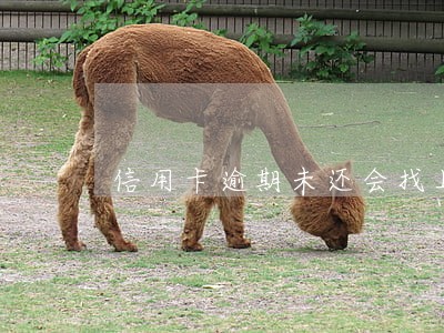 信用卡逾期未还会找上门吗