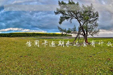 信用卡逾期未还会有什么后果 信用卡逾期未还会有什么后果