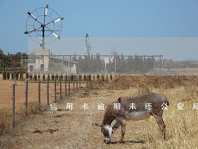 信用卡逾期未还公安局传唤通知 信用卡逾期未还公安局传唤通知