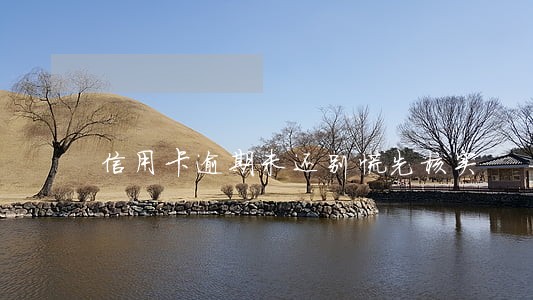 信用卡逾期未还别慌先核实 信用卡逾期未还别慌先核实