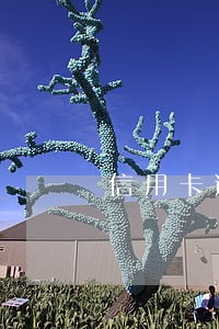 信用卡逾期未还卡被注销了 信用卡逾期未还卡被注销了