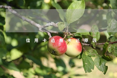 信用卡逾期未还原因 信用卡逾期未还原因