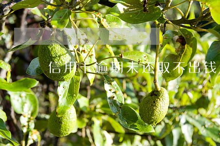 信用卡逾期未还取不出钱 信用卡逾期未还取不出钱