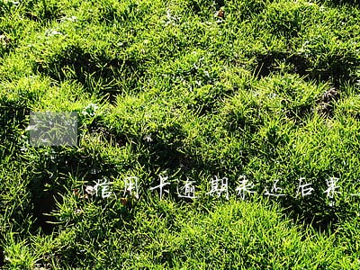 信用卡逾期未还后果上海