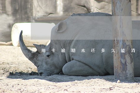 信用卡逾期未还多久能消除 信用卡逾期未还多久能消除