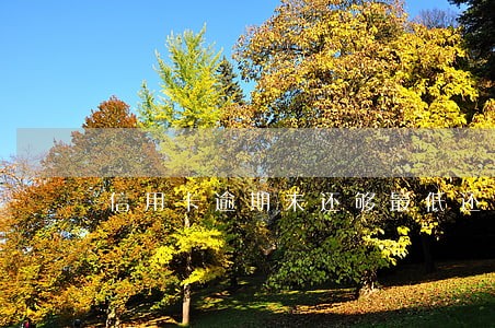 信用卡逾期未还够最低还款 信用卡逾期未还够最低还款