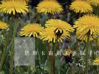 信用卡逾期未还属于什么案件 信用卡逾期未还属于什么案件
