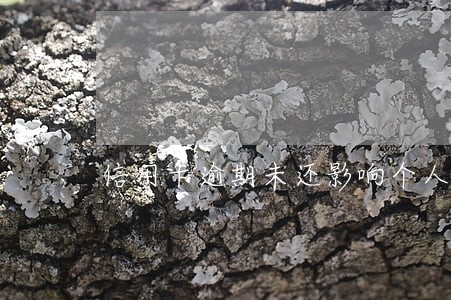 信用卡逾期未还影响个人多长时间