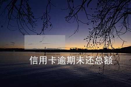 信用卡逾期未还总额 信用卡逾期未还总额