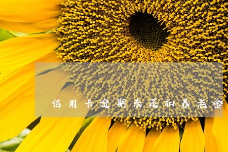 信用卡逾期未还扣养老金 信用卡逾期未还扣养老金