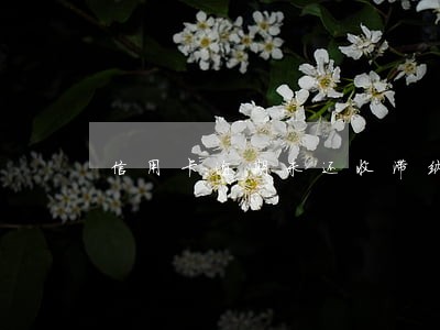 信用卡逾期未还收滞纳金吗 信用卡逾期未还收滞纳金吗