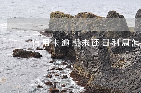信用卡逾期未还日利息怎么算 信用卡逾期未还日利息怎么算