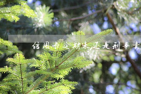 信用卡逾期未还是刑事责任吗 信用卡逾期未还是刑事责任吗