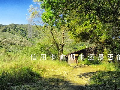 信用卡逾期未还是否能贷款 信用卡逾期未还是否能贷款