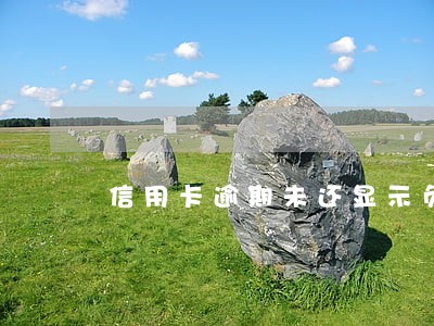 信用卡逾期未还显示负数 信用卡逾期未还显示负数