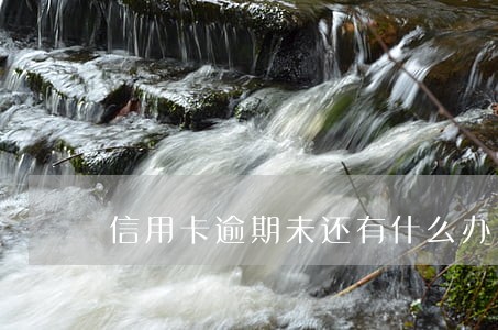 信用卡逾期未还有什么办法 信用卡逾期未还有什么办法