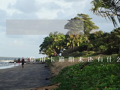 信用卡逾期未还有什么后果 信用卡逾期未还有什么后果