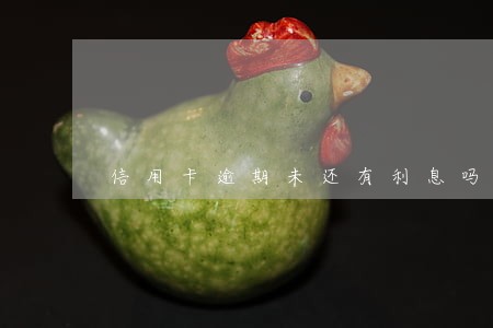 信用卡逾期未还有利息吗