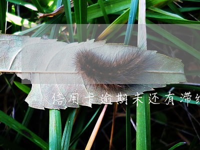 信用卡逾期未还有滞纳金吗