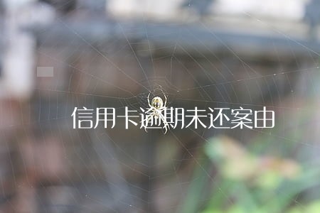 信用卡逾期未还案由 信用卡逾期未还案由