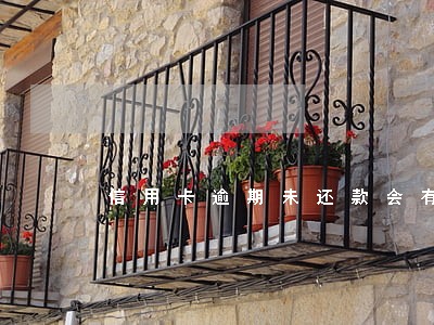 信用卡逾期未还款会有什么影响 信用卡逾期未还款会有什么影响