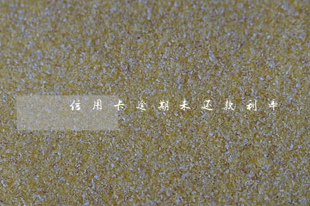 信用卡逾期未还款利率 信用卡逾期未还款利率
